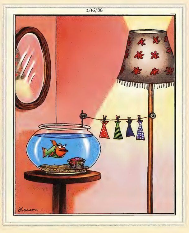 Far Side Fashion - Even Fish Need to Worry About Laundry