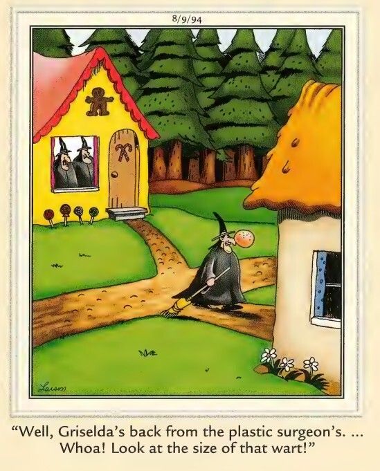 Far Side Witch and Magicians - Griselda's Plastic Surgeon