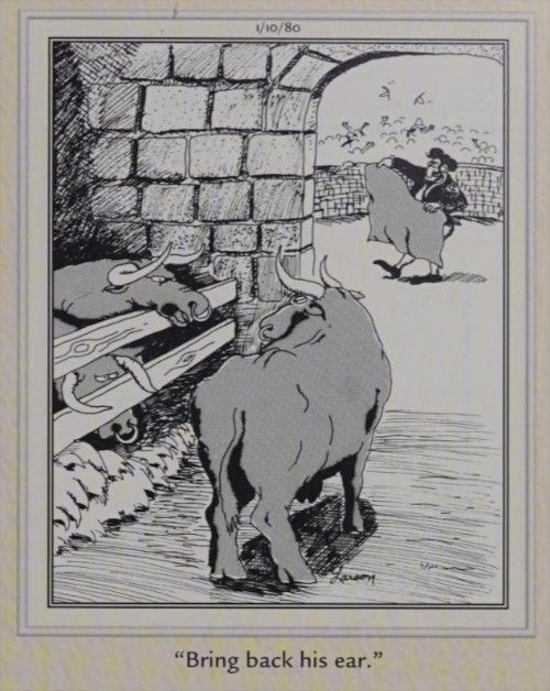 A bull demands another bring back an ear