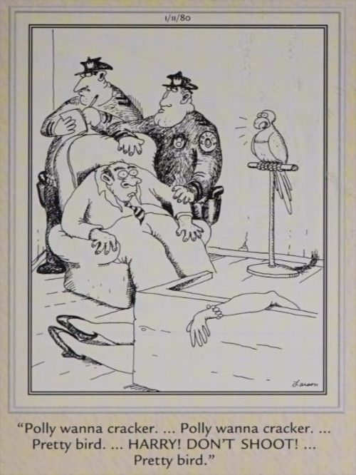 A parrot talks to police