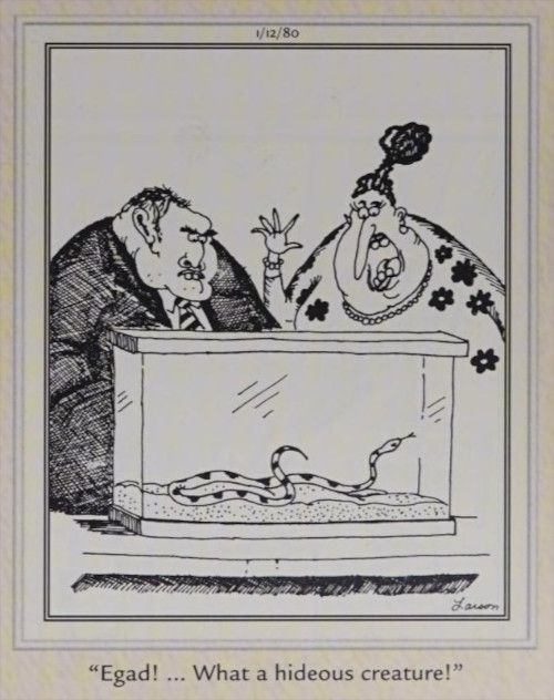 A couple views a snake