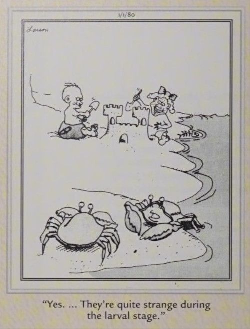 Children building a sandcastle