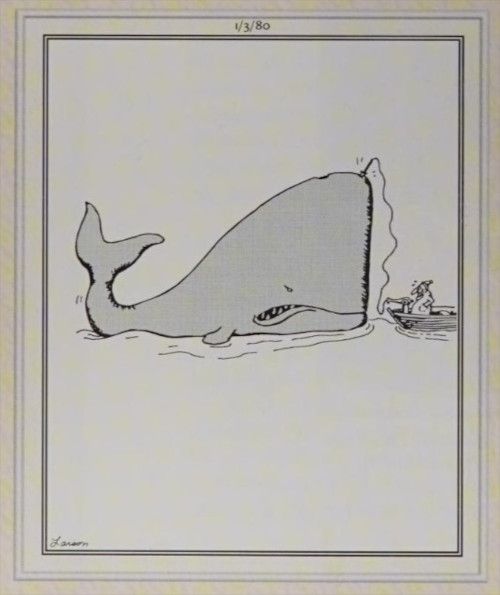 A man spears a whale