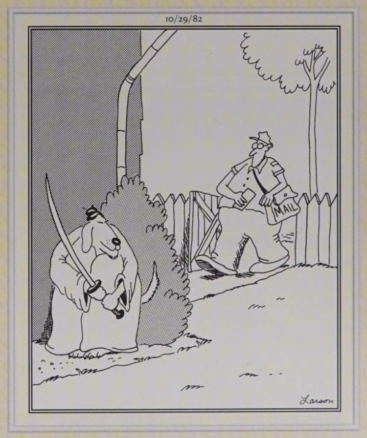 A samurai dog