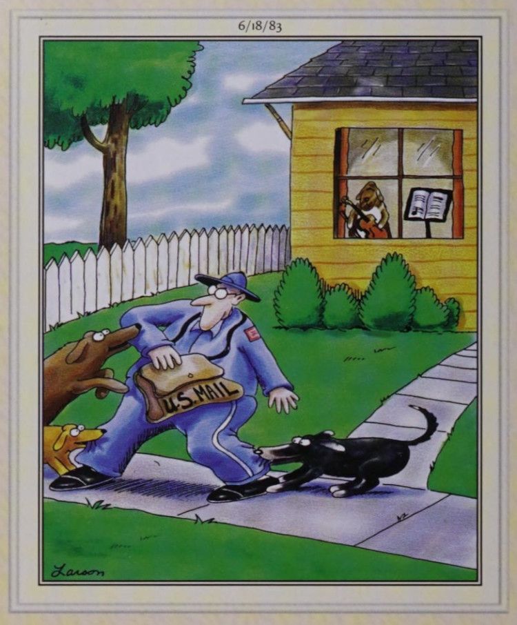 A postal worker is attacked by dogs