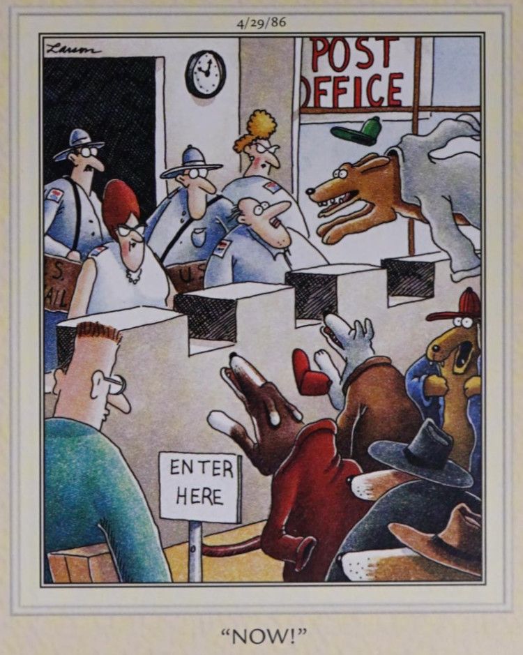 Dogs attack postal workers