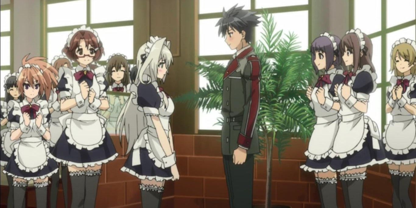 Cem animes