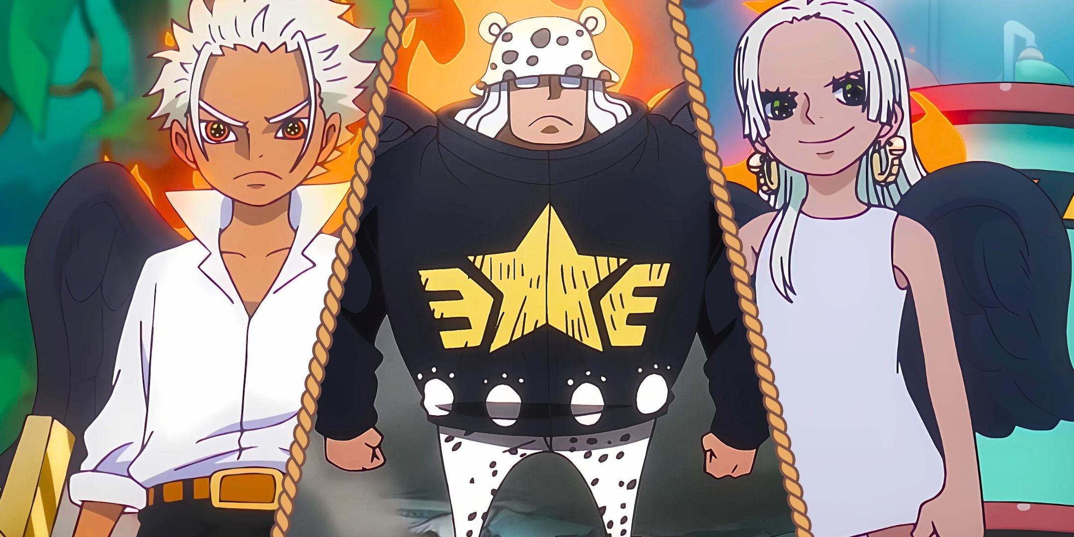 An image divided with Snake S, S-Hawk and S-Bear of One Piece