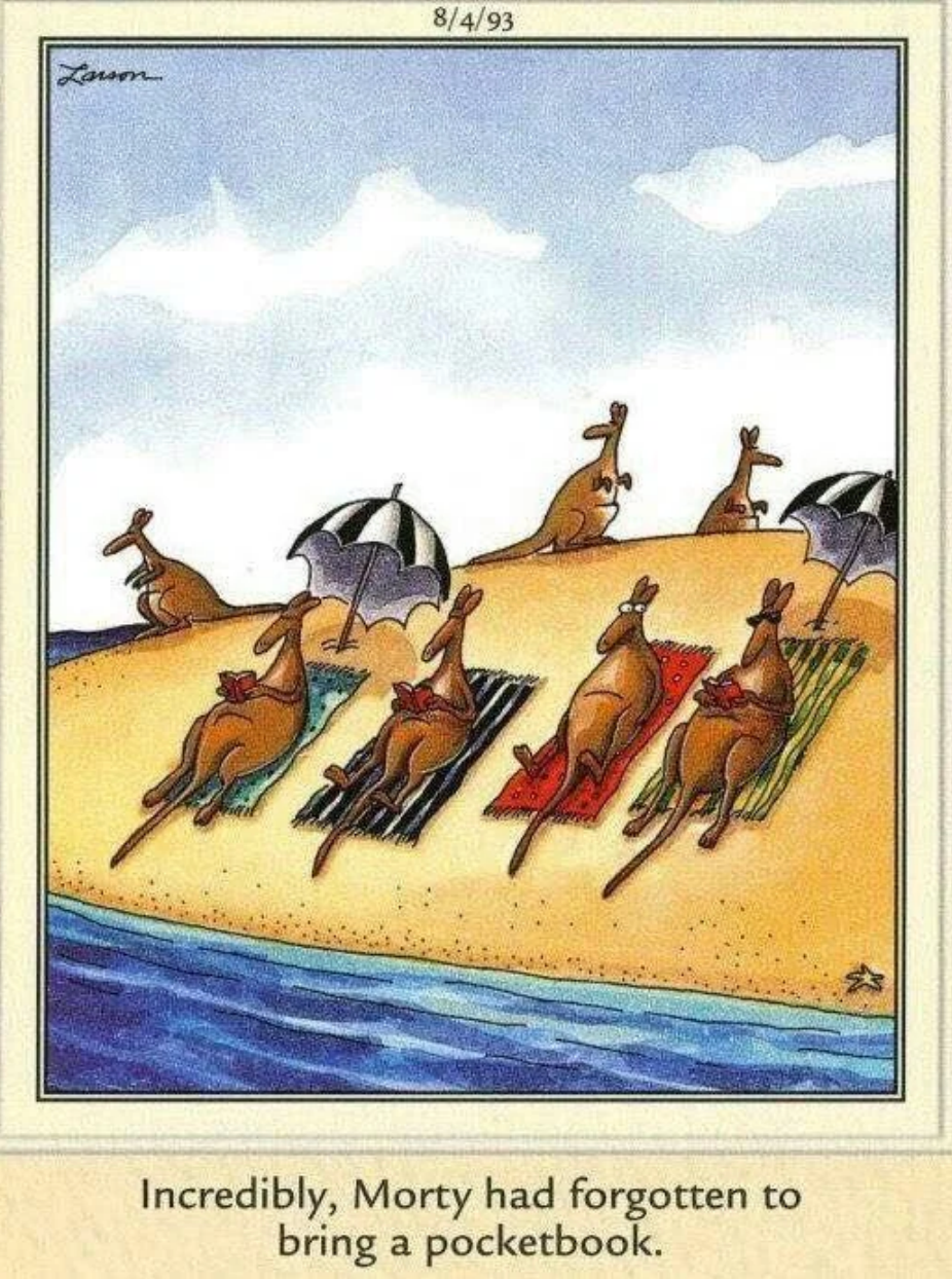 Un canguro olvida su monedero