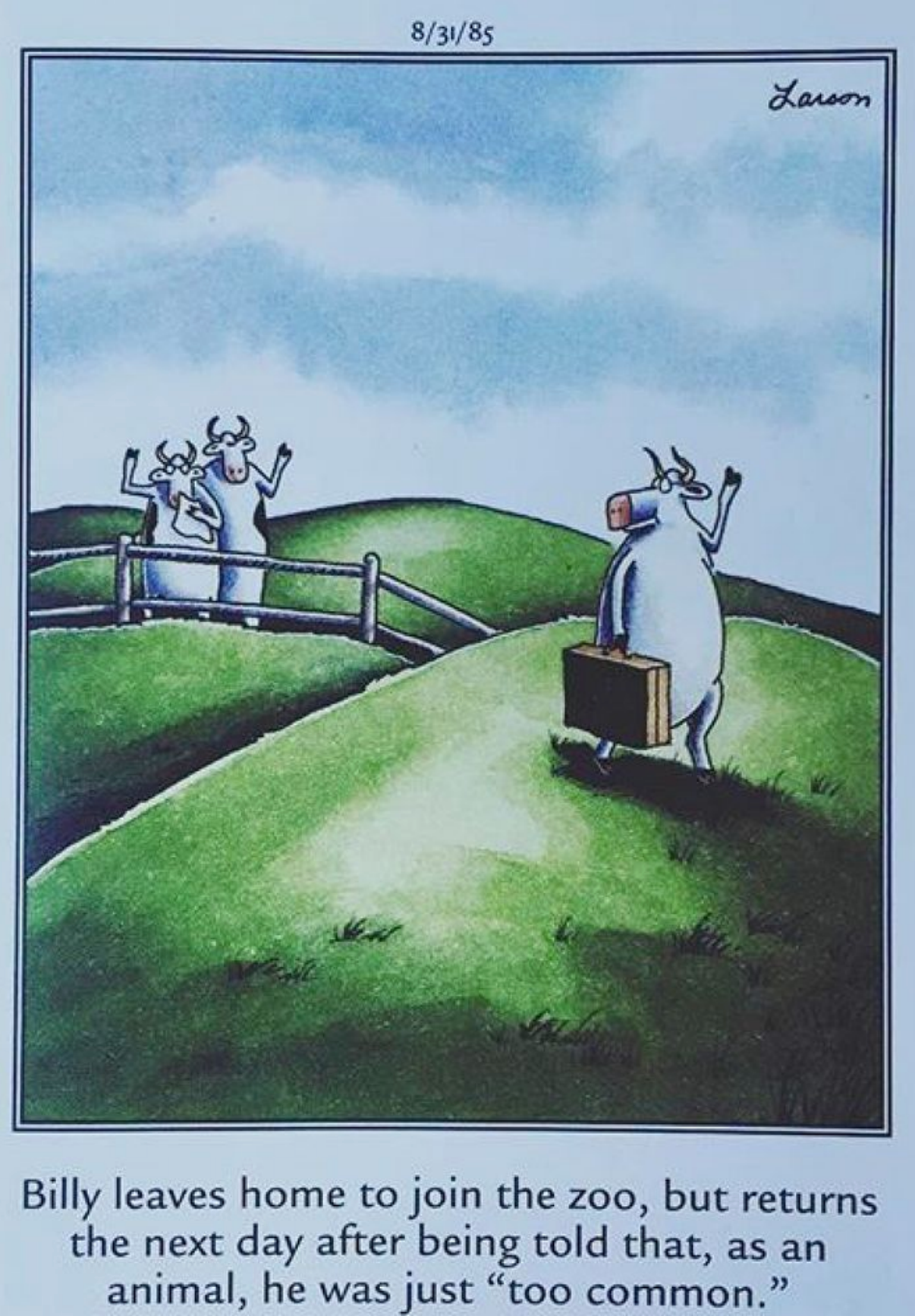 Una vaca promete ir al zoológico, aunque vuelve después