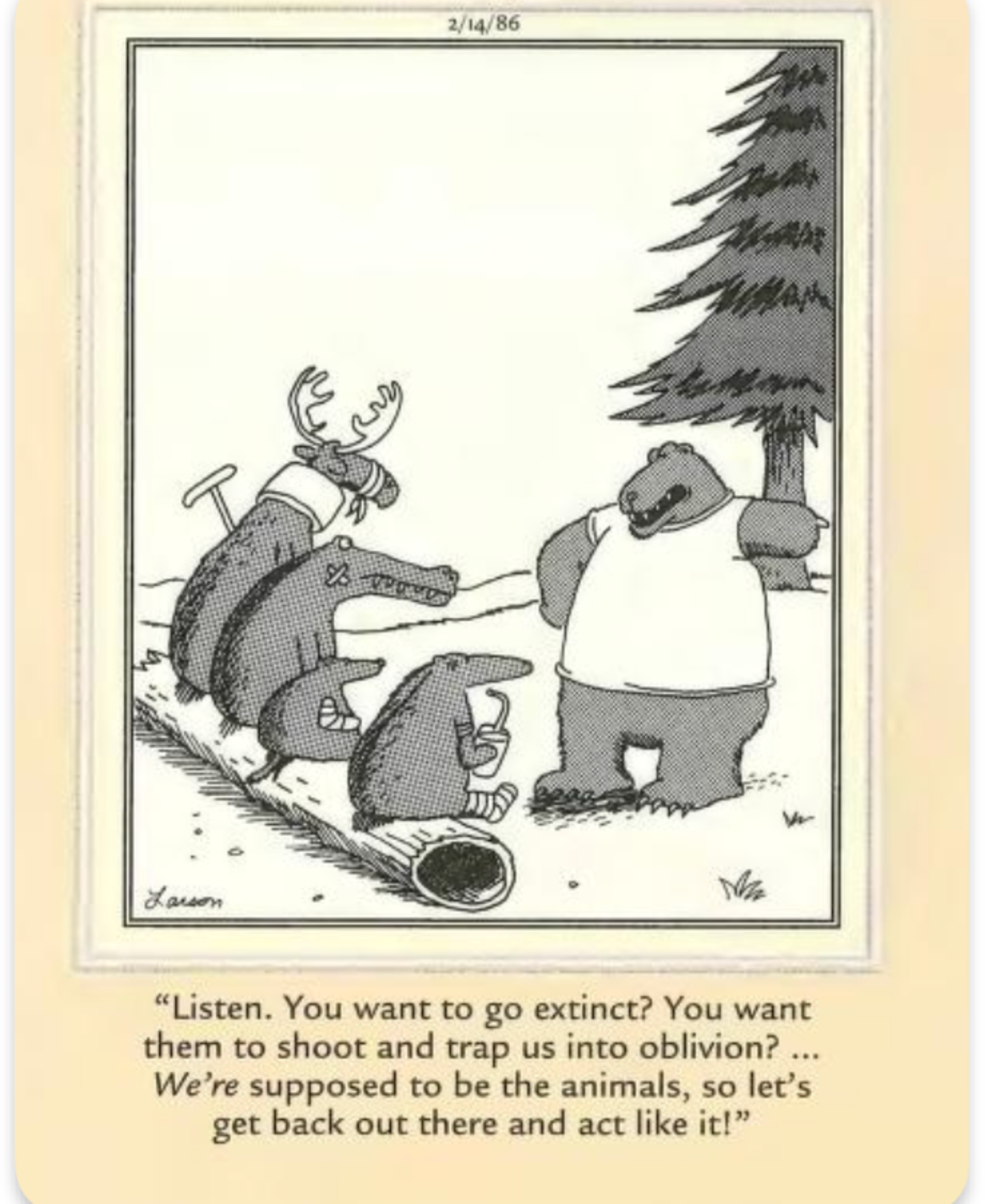 The Far Side Bear Pep Talk 