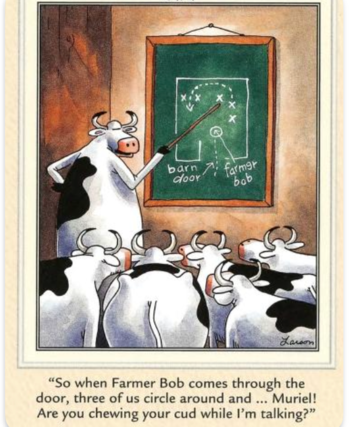 The Far Side Cows  