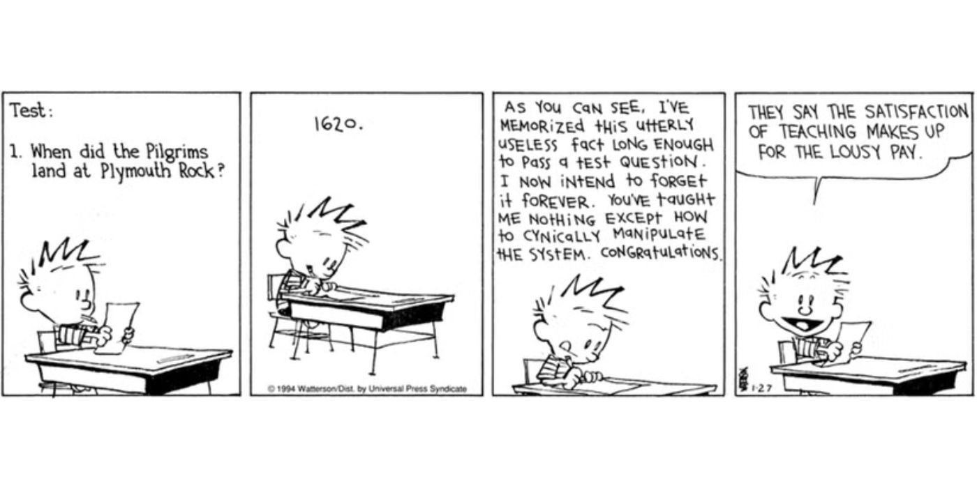 The clothes written on his unnecessary knowledge in Calvin and Hobbes