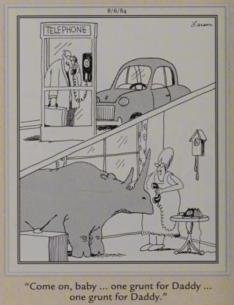 Um rinoceronte usando um telefone