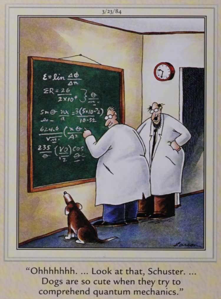 Um cão e matemáticos