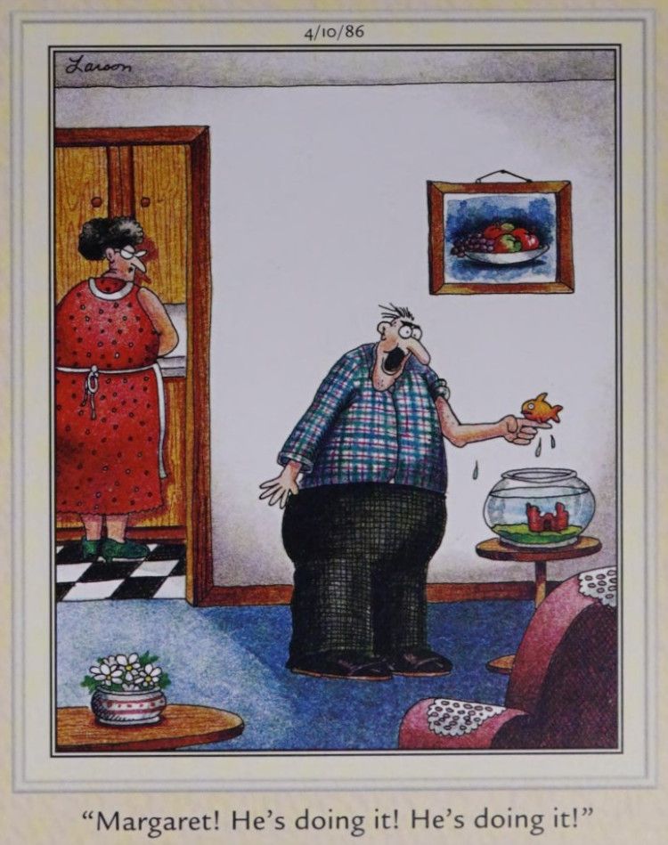 Um peixe realizando um truque