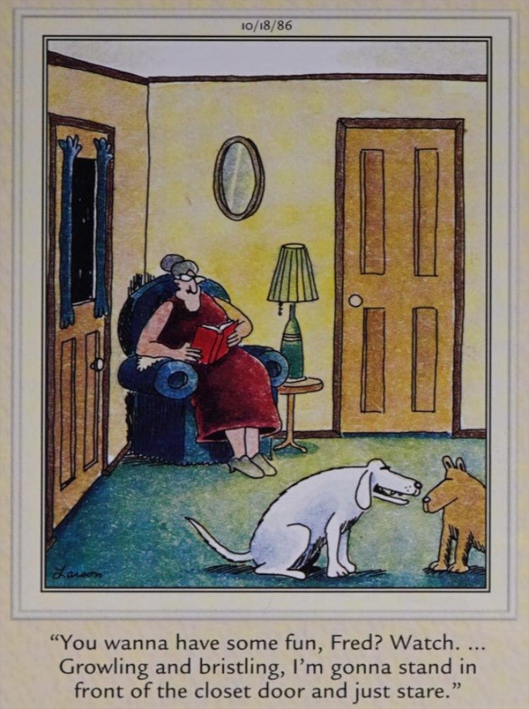 Dois cães pregando uma peça