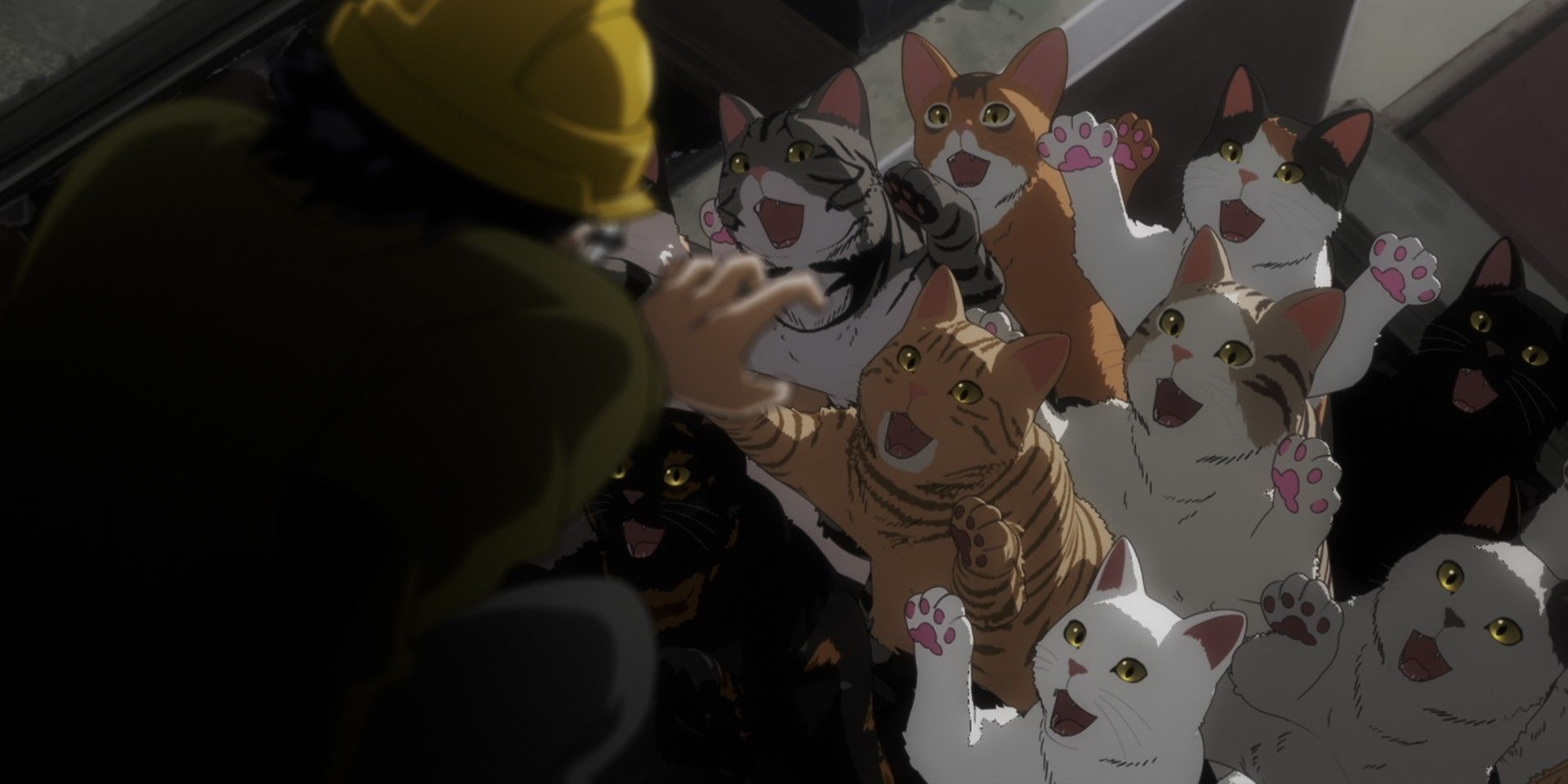 Nyaight of the Living Cat