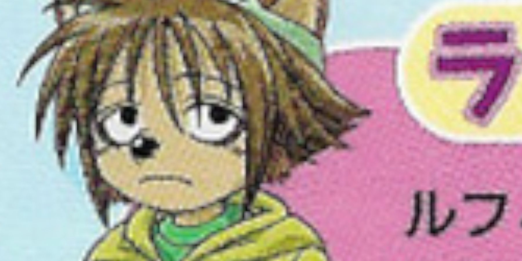Raccoon appears in the manual for the Wonderswan Color game Chopper's Big Adventure