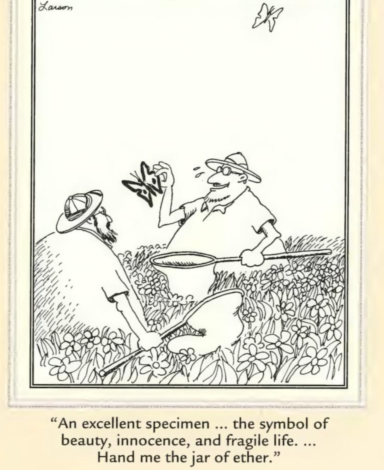 The Far Side Butterfly