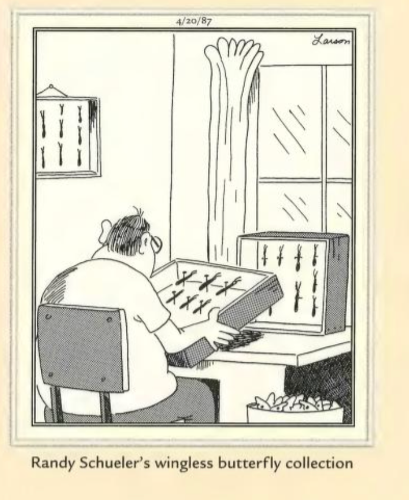 The Far Side Randy Schueler