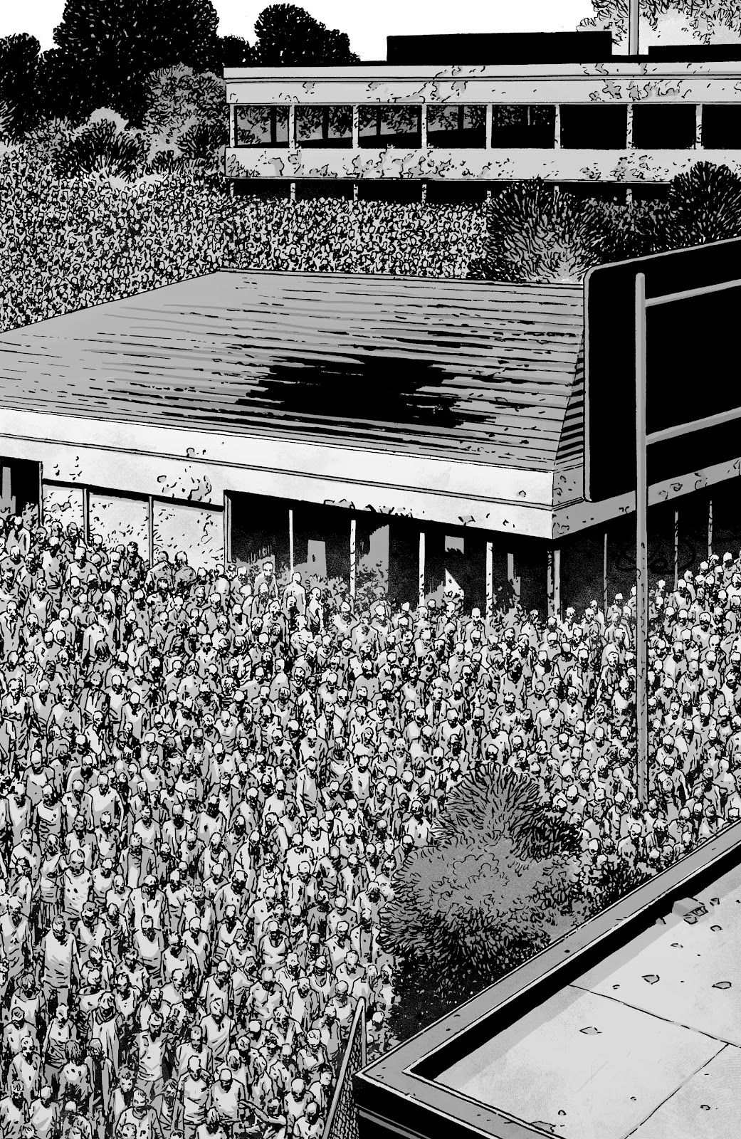 A vast herd is there