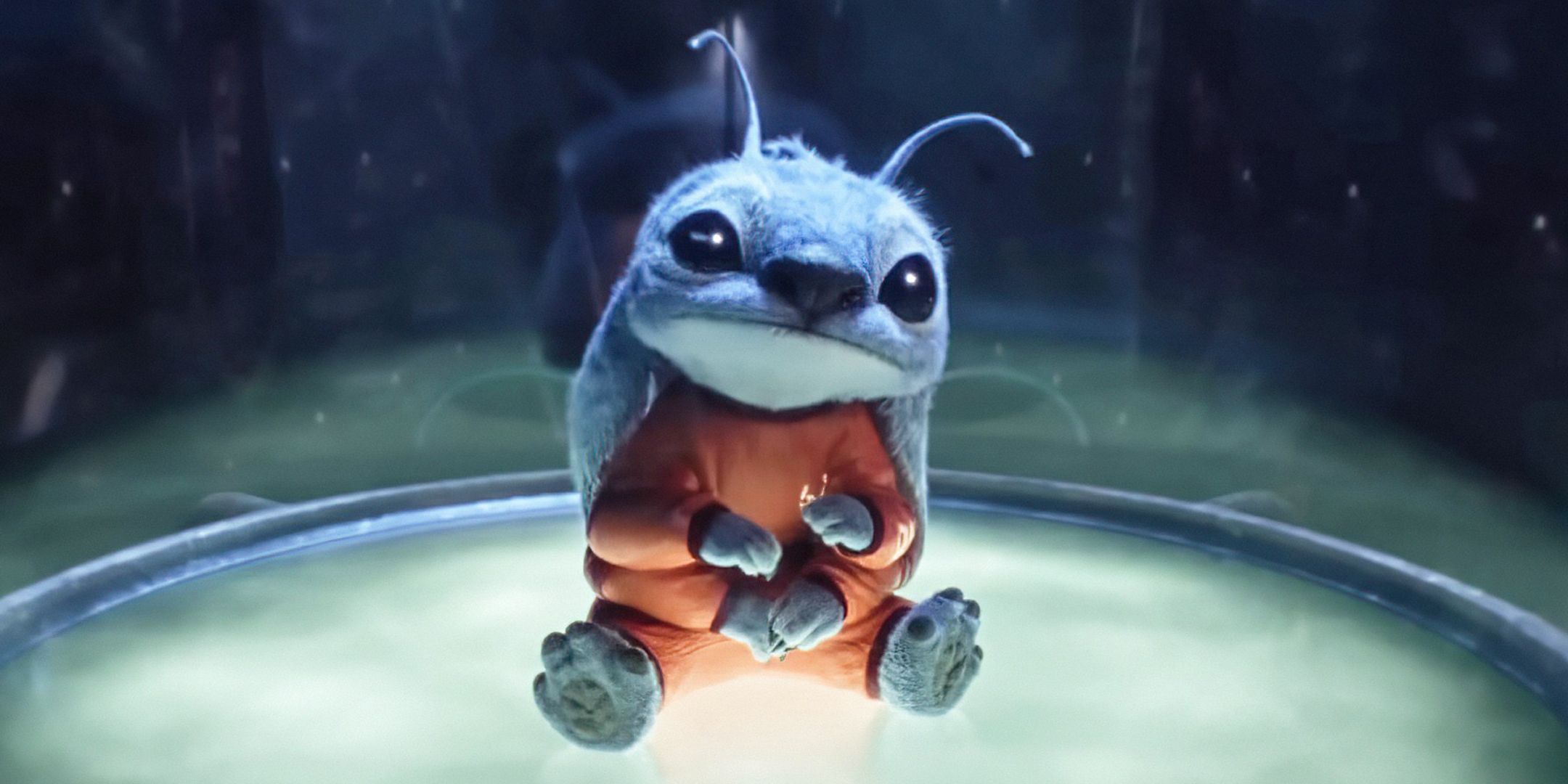 A captive Stitch from Lilo and Stitch