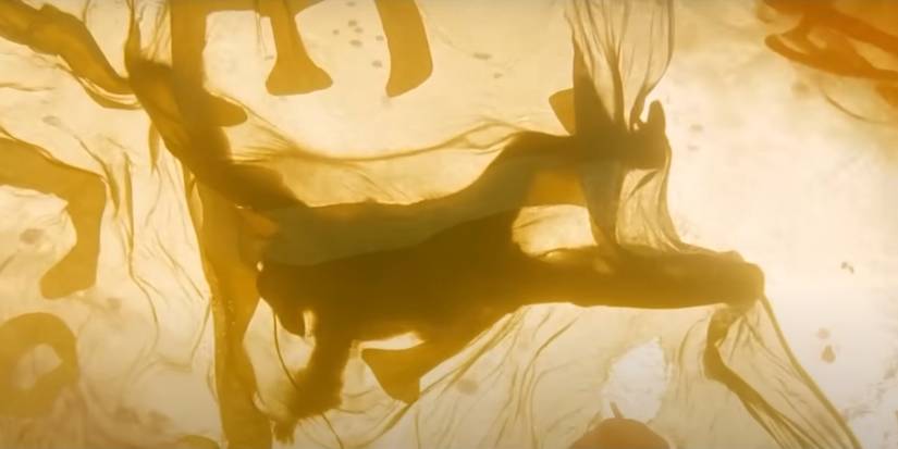 The body of Lord Cutler Beckett falls on a flag in the Caribbean pirates: at the end of the world