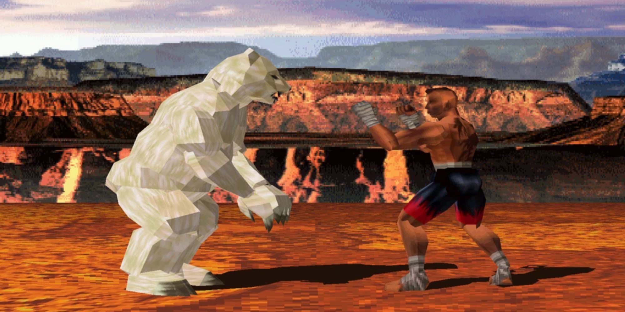 Tekken Kuma Fight