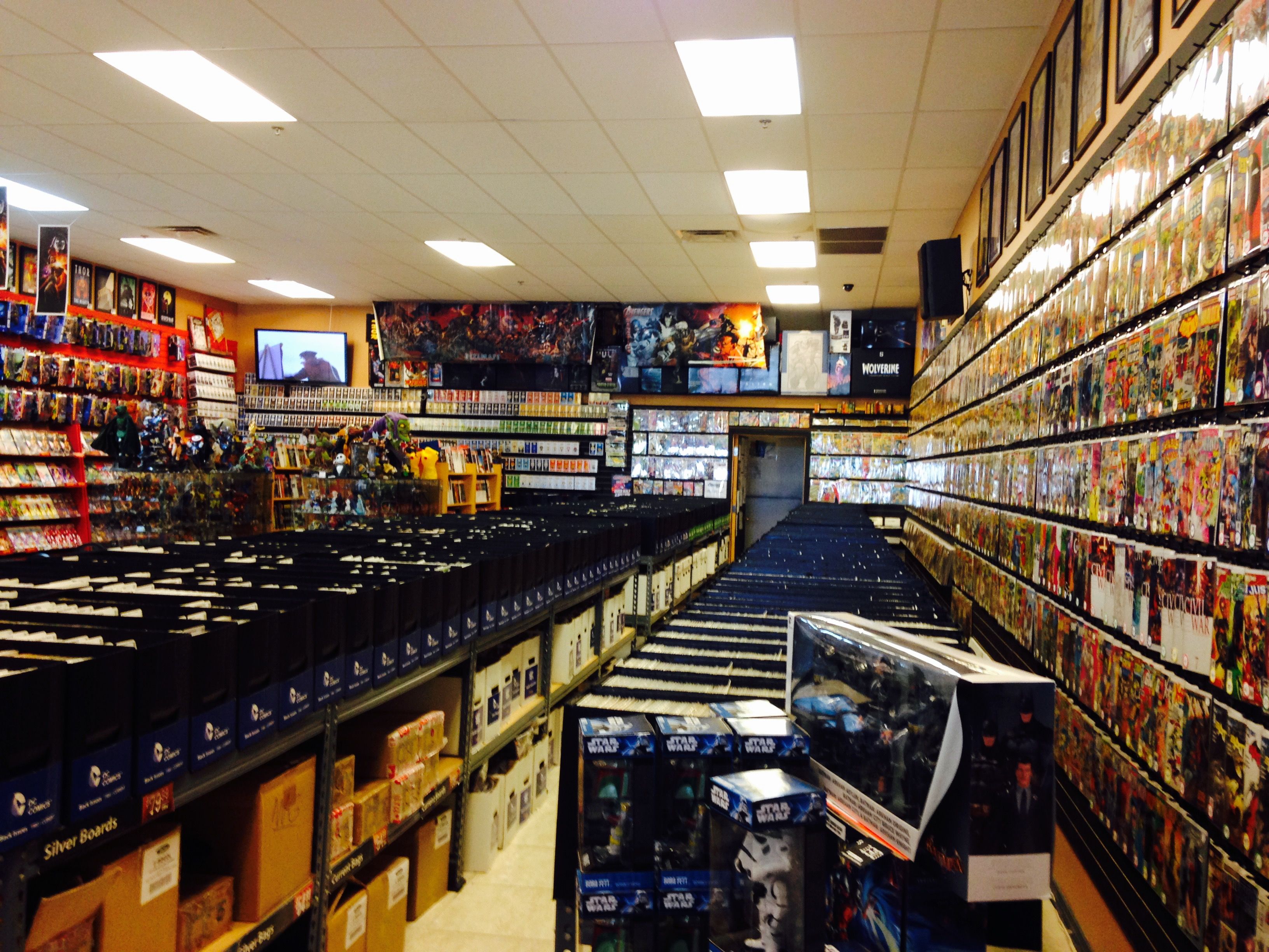 Store Tour Coliseum of Comics in Orlando Florida