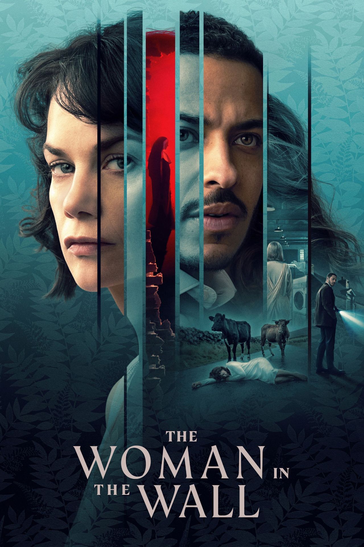 Póster de la serie The Woman in the Wall