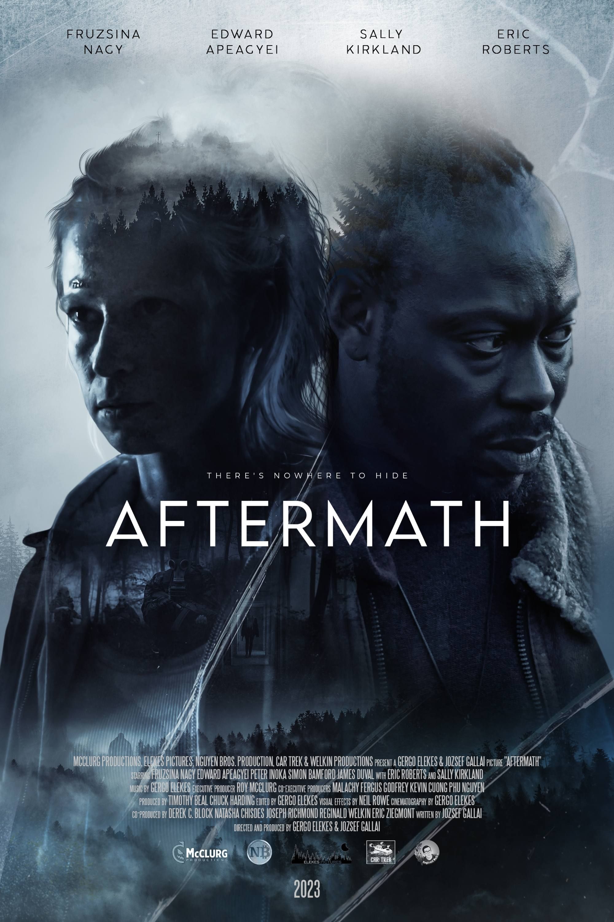 Aftermath (2024) CBR