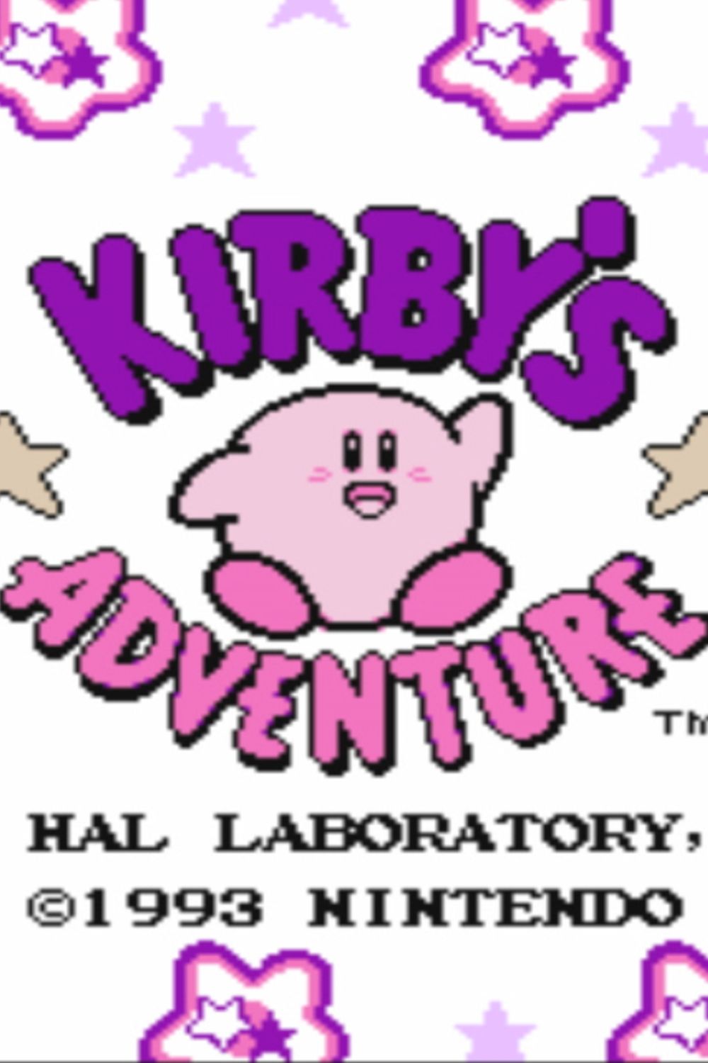 Kirby's Adventure