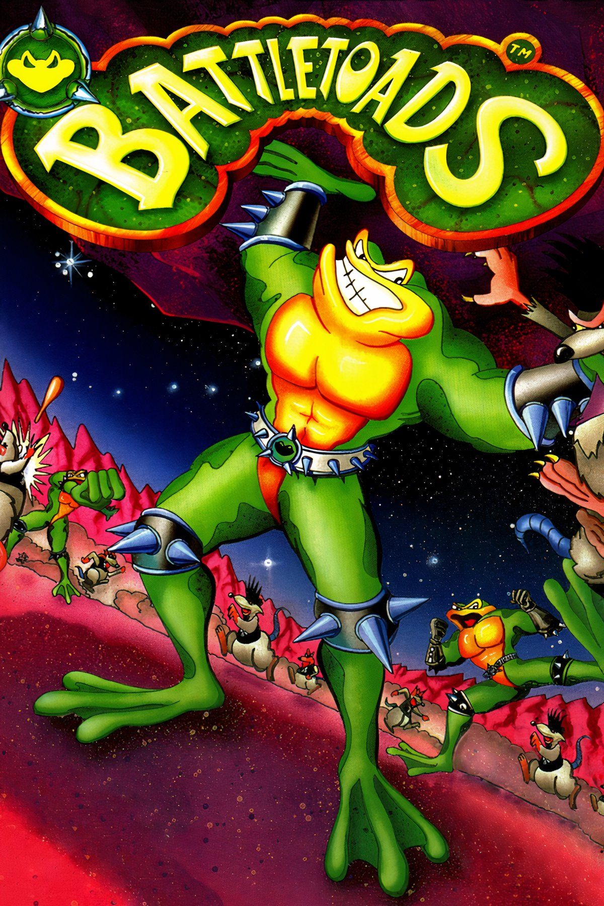 Uno de los Battlestoads se lleva a cabo con una expresión feroz mientras está bajo el título del juego.