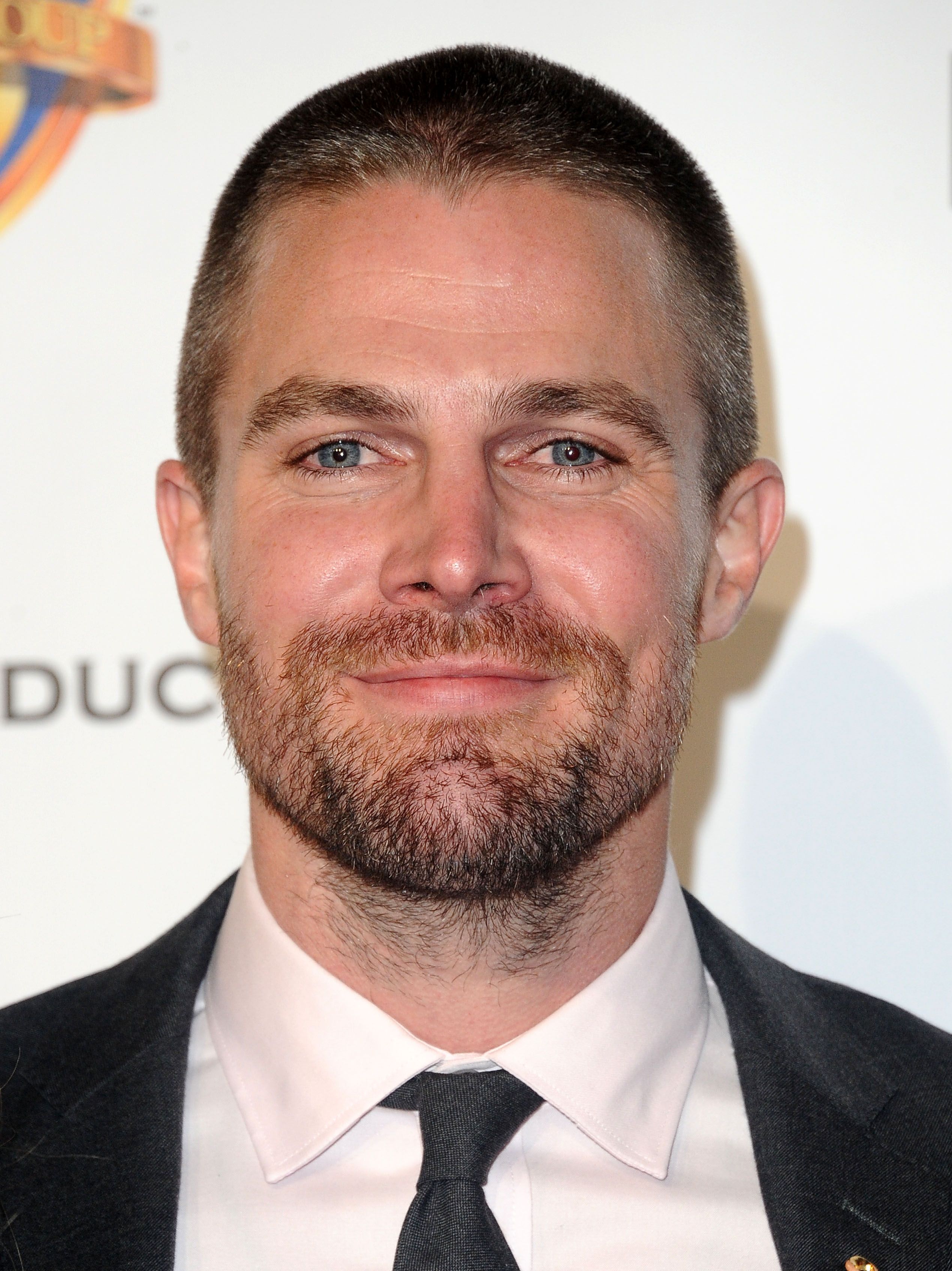 Stephen Amell and Emily Bett Rickards Share An Unlikely Post-Arrow ...