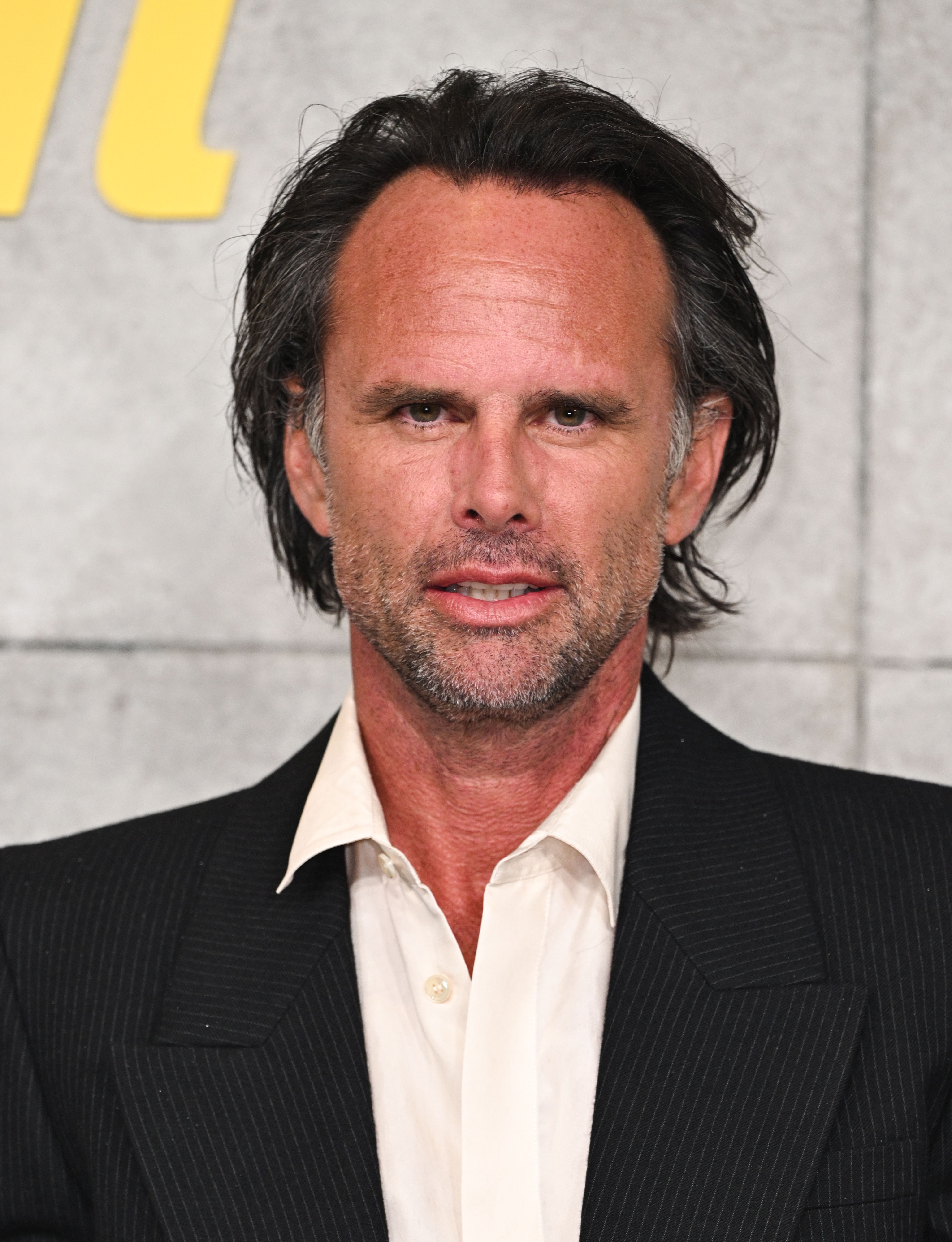 10 Perfect Walton Goggins Movies and TV Shows That Are Flawless From ...