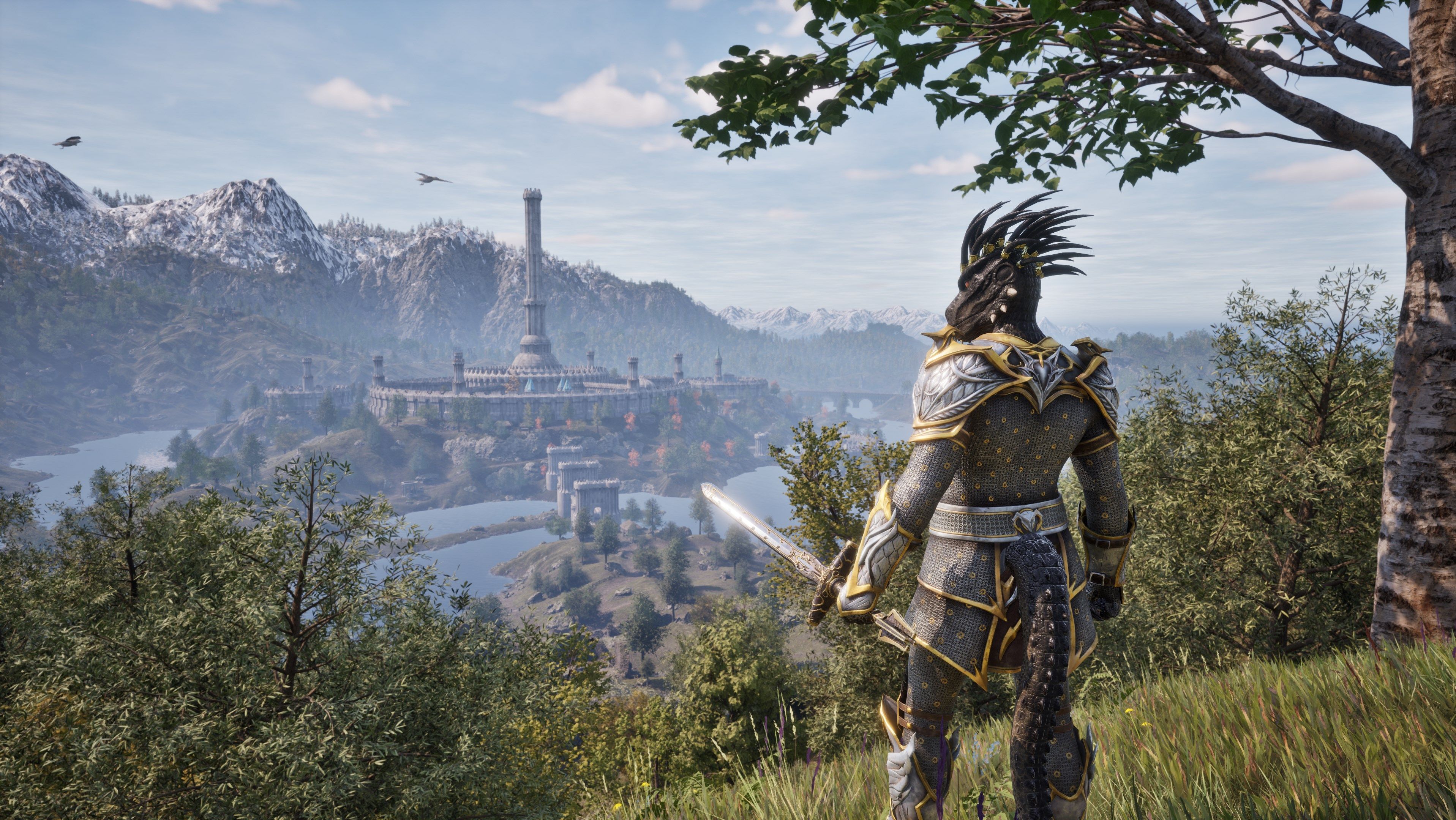 The player looking out over the landscape in Oblivion Remastered