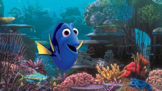 Dory in a coral reef from Finding Dory. 