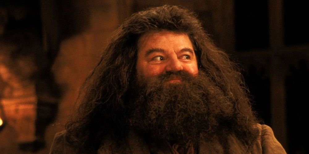 HarryPotter 5Whod BeGreatDefenceTeachers5Awful Hagrid