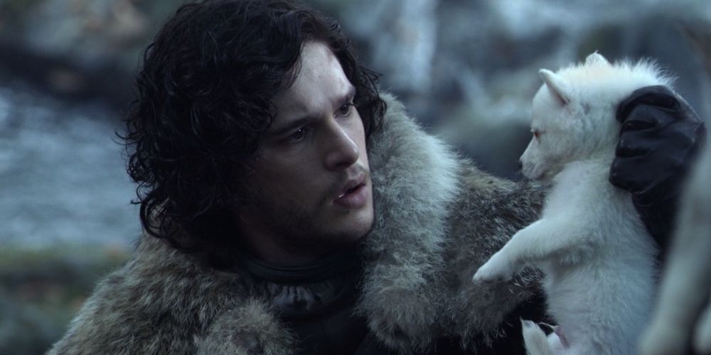 Jon Snow Holding Ghost As A Puppy